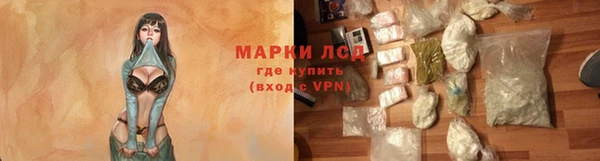 PSILOCYBIN Аркадак
