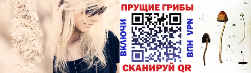 Галлюциногенные грибы Cubensis  OMG сайт  Сатка 